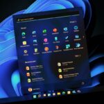WINDOWS  11